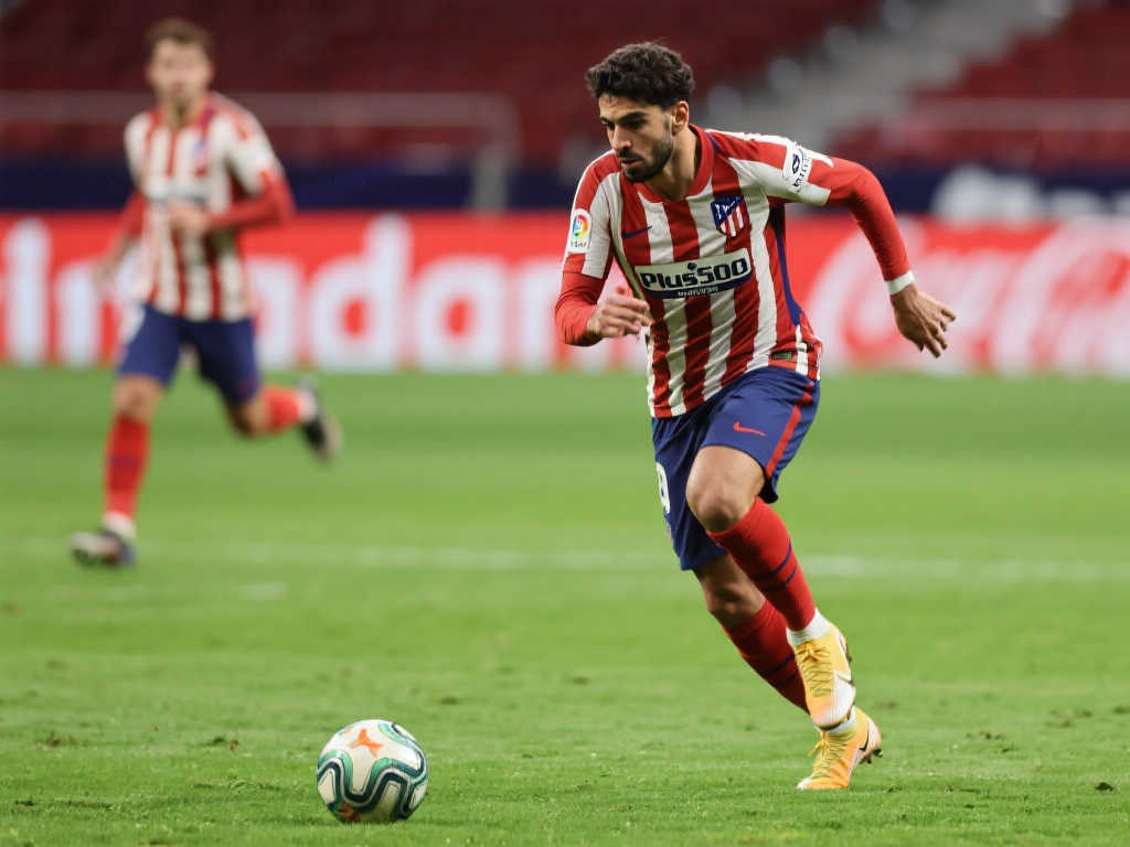 有初步成效 有初步成效